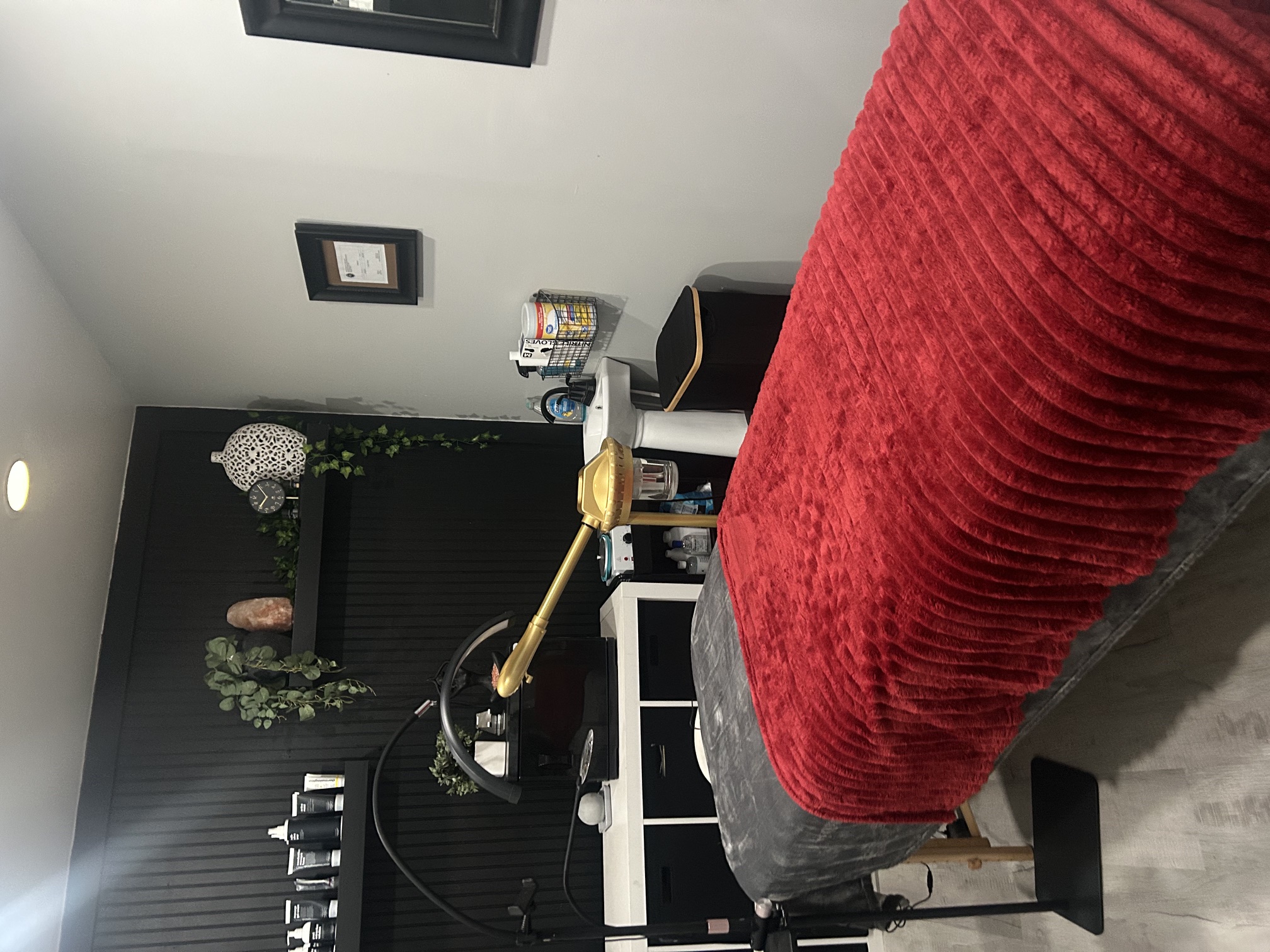 Esthetics Room